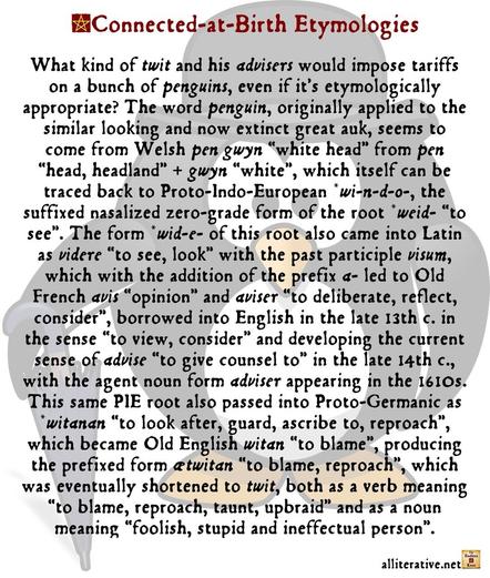 What kind of twit and his advisers would impose tariffs on a bunch of penguins, even if it’s etymologically appropriate? The word penguin, originally applied to the similar looking and now extinct great auk, seems to come from Welsh pen gwyn “white head” from pen “head, headland” + gwyn “white”, which itself can be traced back to Proto-Indo-European *wi-n-d-o-, the suffixed nasalized zero-grade form of the root *weid- “to see”. The form *wid-e- of this root also came into Latin as videre “to see, look” with the past participle visum, which with the addition of the prefix a- led to Old French avis “opinion” and aviser “to deliberate, reflect, consider”, borrowed into English in the late 13th c. in the sense “to view, consider” and developing the current sense of advise “to give counsel to” in the late 14th c., with the agent noun form adviser appearing in the 1610s. This same PIE root also passed into Proto-Germanic as *witanan “to look after, guard, ascribe to, reproach”, which became Old English witan “to blame”, producing the prefixed form ætwitan “to blame, reproach”, which was eventually shortened to twit, both as a verb meaning “to blame, reproach, taunt, upbraid” and as a noun meaning “foolish, stupid and ineffectual person”.