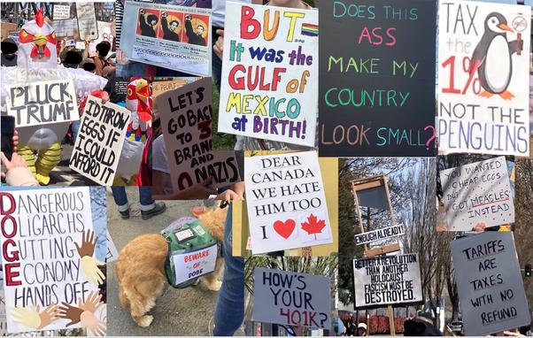 more signs from April 5, Portland, Oregon: Pitchforks Against Dark Enlightenment; Let's Go Back to 3 Branches and 0 Nazis; Dangerous Oligarchs Gutting Economy: Hands Off;  Dear Canada, We Hate Him Too; How's Your 401K?; Does This Ass Make My Country Look Small?; Tax the 1% Not the Penguins; You wanted cheap eggs but got measles instead;  Tariffs are Taxes with no refund; a guillotine with "Enough Already! Better a Revolution than another holocaust. Fascism must be destroyed"; an autism assistance dog wearing a sign saying "Beware of D.O.G.E."; two people in chicken costumes with signs saying "Pluck Trump" and "I'd throw eggs if I could afford it" and in the background a sign saying "Shit's so bad even the introverts are here"; and "But...it was the Gulf of Mexico at Birth" (that one wasn't in Portland, I just found it online)