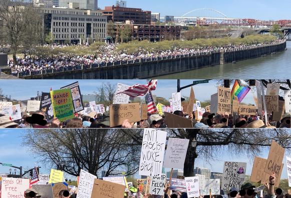 three images wider than they are tall.
top, a view of waterfront park from the burnside bridge, showing a huge crowd.
the next two of many signs held above the heads of a dense crowd, with the messages not always visible but including these: Hands off democracy, equality, intergrity; Remove the fascists; No Tyrants in the USA; Do not obey in advance; shit is bananas; anti-fascist woke bitch; empathy beats evil; free mahmoud khalil; no king in america.