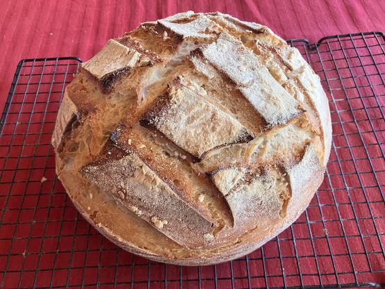 Fresh sourdough cooling on the rack