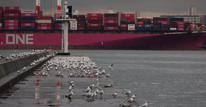 アングル:日本企業、中国ヘッジ裏目に 高い東南アのトランプ関税 | ロイター