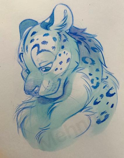 A snow leopard looking down. It’s just a bust. They’re drawn in blue pencil and shaded with various shades of blue.