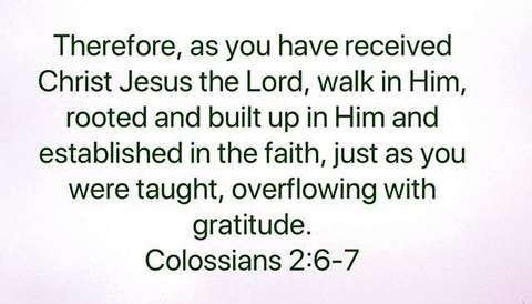 Therefore, as you have received Christ Jesus the Lord, walk in Him, rooted and built up in Him and established in the faith, just as you were taught, overflowing with gratitude.

Colossians 2:6-7 

White background, dark green text