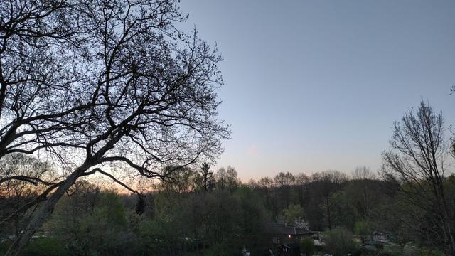 Das Bild zeigt eine ruhige Landschaft bei Sonnenuntergang. Im Vordergrund sind die kahlen Äste eines großen Baumes sichtbar, die sich gegen den Himmel abzeichnen. Der Himmel wechselt von einem tiefen Blau zu einem sanften Orange am Horizont, was auf den Sonnenuntergang hinweist. Im Hintergrund sind weitere Bäume und ein paar Häuser zu sehen, die in der Ferne verschwimmen. Die Vegetation besteht aus verschiedenen Bäumen, einige von ihnen haben bereits Blätter, während andere noch kahl sind. Die Szene wirkt friedlich und natürliche, mit einer Mischung aus Wald und Wohngebiet.