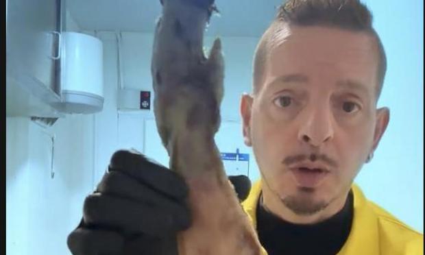 El As Carnicero, con la pata de jamón, en un momento de su vídeo (TIKTOK)