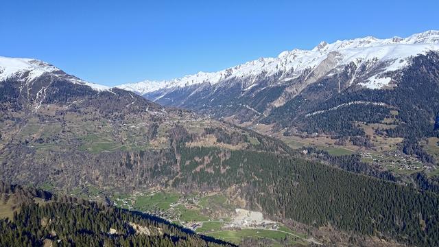 This is a breathtaking aerial view taken during descent toward the Fieschertal area in the Swiss canton of Valais, likely from a paraglider flight. The image captures the village of Ernen (center-left) perched on a sunny plateau, with the Rhone valley stretching out below. The steep alpine slopes are carpeted with a dense conifer forest transitioning into a patchwork of pastures and scattered hamlets.

To the right and across the valley, you can see the Binntal valley unfolding, backed by the snow-covered peaks of the Lepontine Alps, forming a dramatic backdrop. The mix of green spring meadows, dark forest, and snowy summits creates a stunning seasonal contrast — classic Valais vibes.