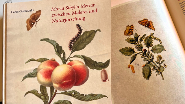 Buchcover mit Zeichnung der Naturforscherin Maria Sibylla Merian. Auf der Abbildung ist ein Pfirsichstrauch mit Raupe und Schmetterling zu sehen.