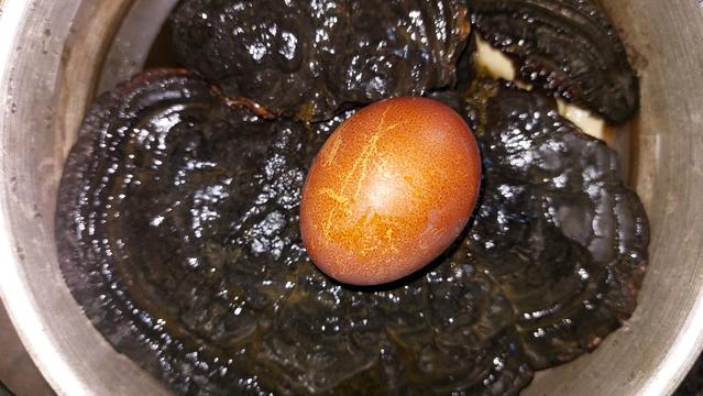It's a picture of a pot from above. The brown egg dyed in water with polypores sits in the middle on the shiny, wet, dried polypores that gave the egg this color.