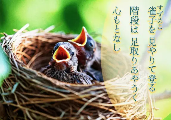 «Generated by #nightcafestudio, Edit in CapCut »
Alt-TXT: Two tiny sparrow chicks lean out of the nest with their yellow mouths open. The pale green leaves in the background emphasize the chicks' vulnerability and expectation.

On the right side of the image is a tanka poem written in Japanese that reads, ”Watching a fledgling sparrow, /I climb the stairs with resolve, /yet my unsteady steps— /more wobbly than the bird’s— /leave me unsure, faltering.”