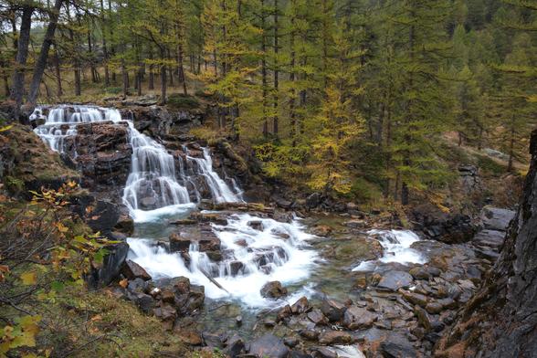 A cascading waterfall amidst a forest with autumn-colored foliage.