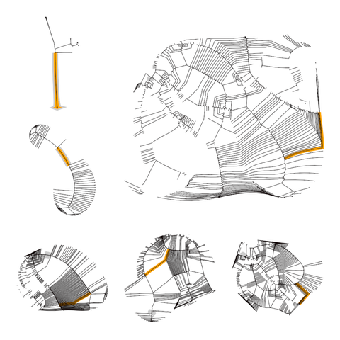 Code generated 3x3 grid of line based compositions on white background. The top right shape occupies 2x2 cells, so there are only 6 shapes in total. Each composition has numerous thin, curved black lines, one thick orange line and one thicker gray line. The orange line highlights the longest contour. The gray line the contour with most segments. Some compositions are simpler, with few lines.