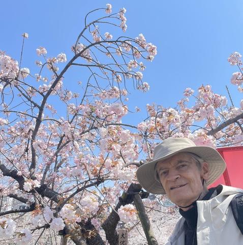 A variety of sakura and yours truly Prof. Indy Jones.