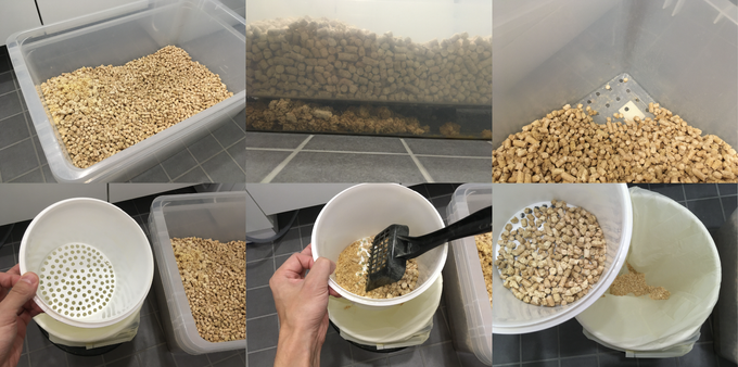 Cleaning cat's litter box