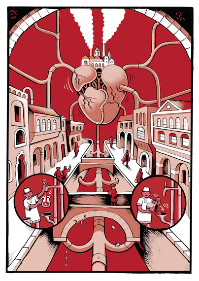 Graphic Anatomy, Cuore - Farinella