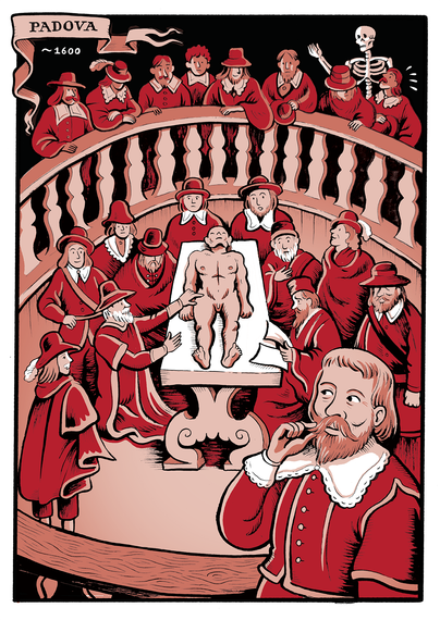 Graphic Anatomy, Cuore - Farinella