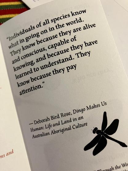 A sample of the text from the other, inner side of the zine:

"Individuals of all species know what is going on in the world. They know because they are alive and conscious, capable of knowing, and because they have learned to understand. They know because they pay attention"
--Deborah Bird Rose, Dingo Makes Us Human: Life and Land in an Australian Aboriginal Culture.
