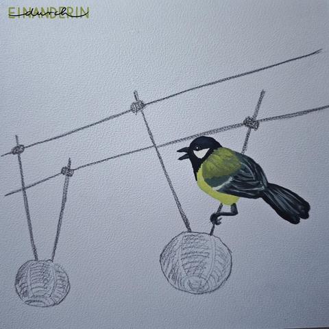 Eine Kohlmeise sitzt auf einer Leuchten-Befestigungsstange eines Halogen-Seilsystems mit runden, weißen Papier-Lampions. Diese sind mit Bleistift gezeichnet, die Kohlmeise farbig mit Gouache gemalt.

A great tit is sitting on a spotlight mounting rod of a halogen cable system with round, white paper lanterns. The lights are drawn in pencil, the great tit is painted in colour with gouache.