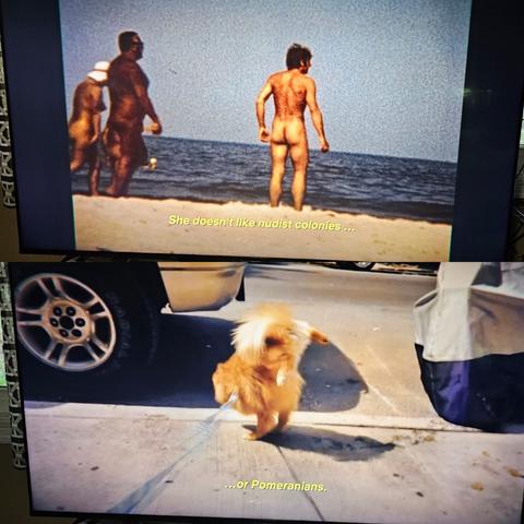 More screenshots-
(one) freeze frame from a retro-looking clip of naked people walking across the beach, captioned "she doesn't like nudist colonies... (two) photo of a pomeranian peeing on a sidewalk near a curb, captioned: or pomeranians