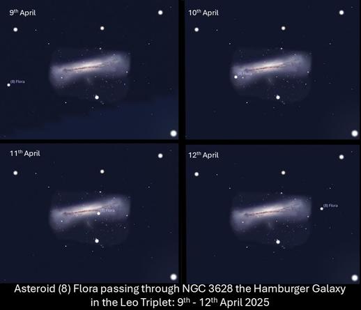 series of screenshots from stellarium that show the position of Flora moving through the hamburger galaxy