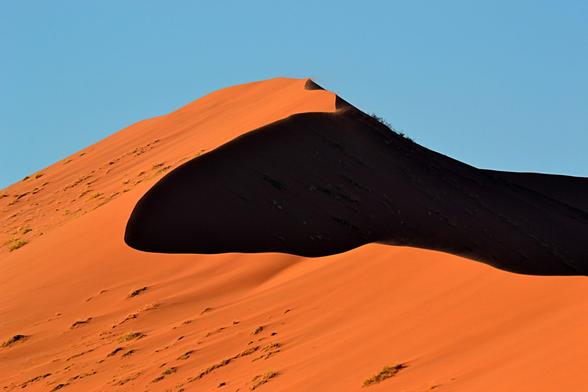 Op mijn website JTravel heb ik voor elk land een bestemmingspagina gemaakt. Hierop vind je informatie, links naar bijv. hotels, vliegtickets, excursies, links naar de bestemmingen die ik heb bezocht en links naar de artikelen over Namibië op deze website. 👇

https://jtravel.nl/namibie/

#namibie