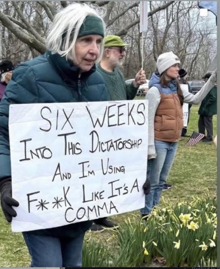 A woman in a blue parka and a green stretch band holding back her white hair stands in field with flowers holding a sign that reads

Six Weeks Into This Dictatorship And I'm Using F**k Like It's A Comma