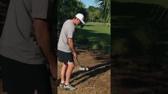 Scottie Scheffler's secret for escaping the pine straw...