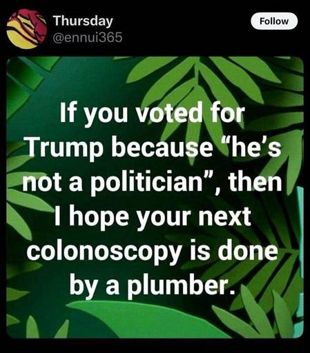 A tweet by @ennui365
, labeled "Thursday," features an image with a green leafy background and white text that reads, "IF YOU VOTED FOR TRUMP BECAUSE 'HE'S NOT A POLITICIAN', THEN I HOPE YOUR NEXT COLONOSCOPY IS DONE BY A PLUMBER." The text uses a sarcastic analogy to criticize the logic of voting for Donald Trump based on his lack of political experience, comparing it to choosing an unqualified person for a medical procedure.
