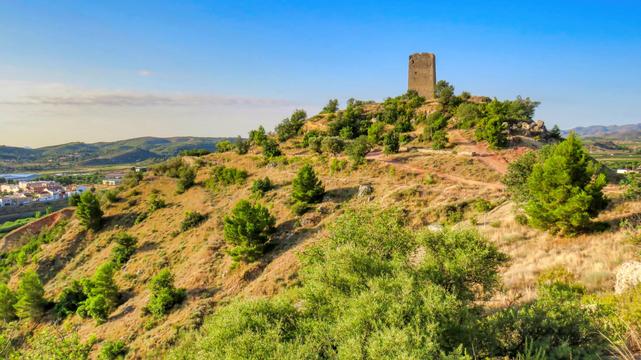 Aquesta imatge mostra una torre de guaita o fortalesa en ruïnes dalt d'un turó, amb vistes a un paisatge rural. La torre de pedra grisa sembla antiga i mostra signes de deteriorament, cosa que suggereix una rica història i possiblement un passat turbulent. Els tons daurats de l'herba seca i els verds dels arbres i arbustos creen un contrast interessant amb el cel blau clar.