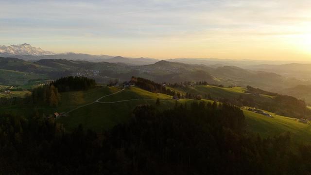 bewaldete und wiesenbedeckte hügellandschaft im matten abendlicht
