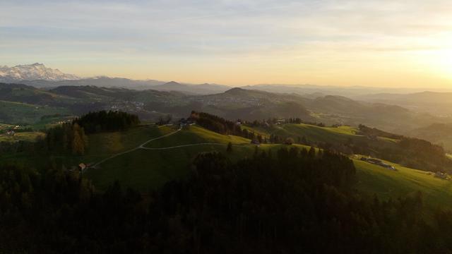 bewaldete und wiesenbedeckte hügellandschaft im matten abendlicht