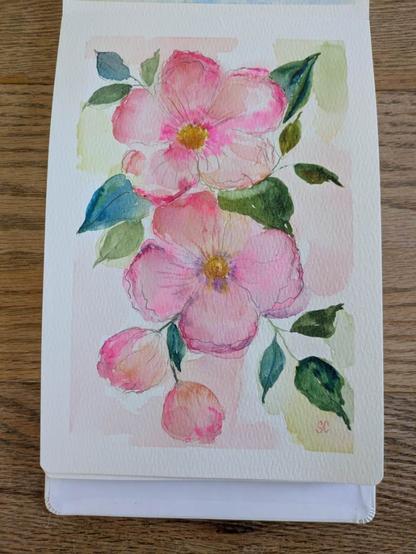 This is a watercolor painting of two full flowers with leaves and two buds at the bottom. There is a graphite sketch visible under the watercolor. The flowers are peachy pinks, hints of purple, and hot pink. The flowers have some line detail in graphite and watercolor. Some of the leaves are bluish green, some are yellowy green in varying sizes and shapes.