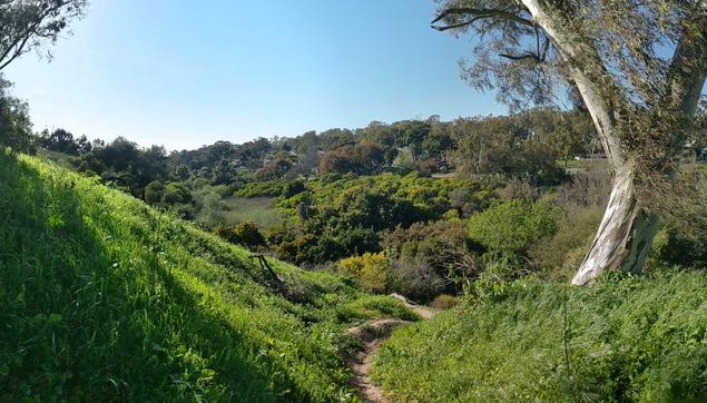 A narrow trail winds down a grassy hillside toward a valley clustered with trees.