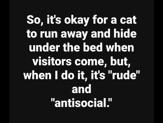 So it's okay for a cat to run and hide under the bed when visitors come, but when I do it, it's "rude" and "antisocial."