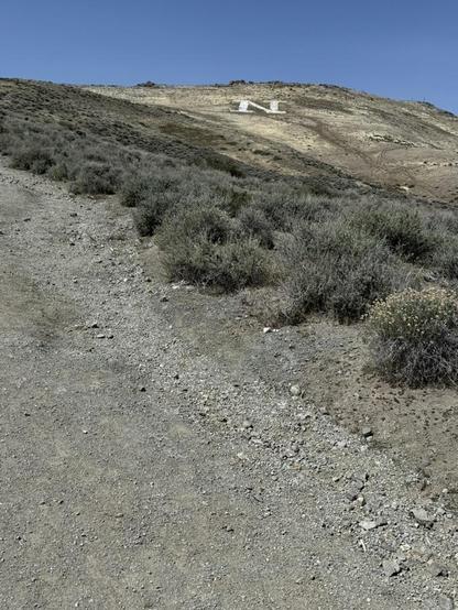 A vertical photo of a gravelly path lined with sagebrushes. Far mountains have that letter N near the top.