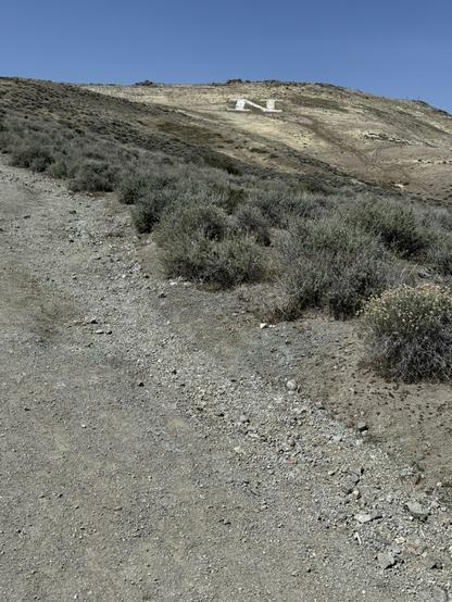 A vertical photo of a gravelly path lined with sagebrushes. Far mountains have that letter N near the top.