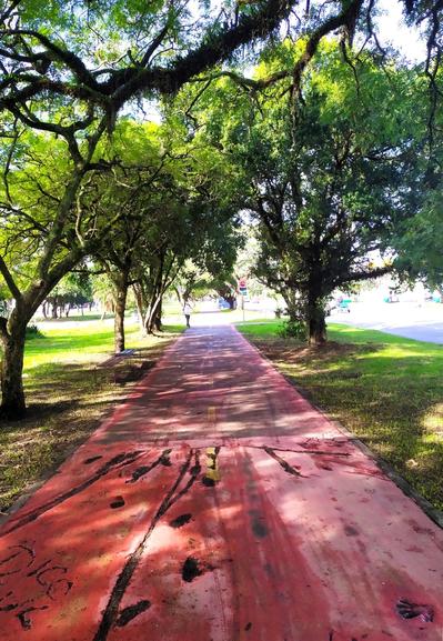 A imagem mostra uma cliclofaixa em vermelho, coberto por marcas e manchas, que se estende entre árvores altas e frondosas. As árvores têm galhos espalhados, criando uma sombra densa sobre o caminho, permitindo apenas alguns raios de sol passarem. À esquerda, há uma área de grama verde e um banco de madeira, enquanto à direita, há uma rua com veículos visíveis ao longe. Uma pessoa caminhando no fundo. A atmosfera é tranquila e natural, com a vegetação exuberante e a sombra das árvores proporcionando um ambiente agradável.