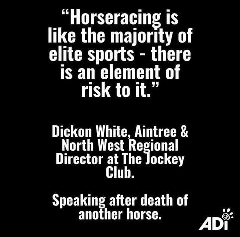 horse riding is elite sport: Link https://www.instagram.com/p/DILvoytMgLu/?igsh=dXZ6b2M4a2xpY2Jt