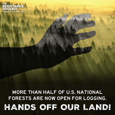 Photograph of a misty forest at sunrise. A shadow of a clutching hand looms over the forest. Text at the bottom reads "Mare than half of U.S. National Forests are now open for logging. Hands off our land!"
