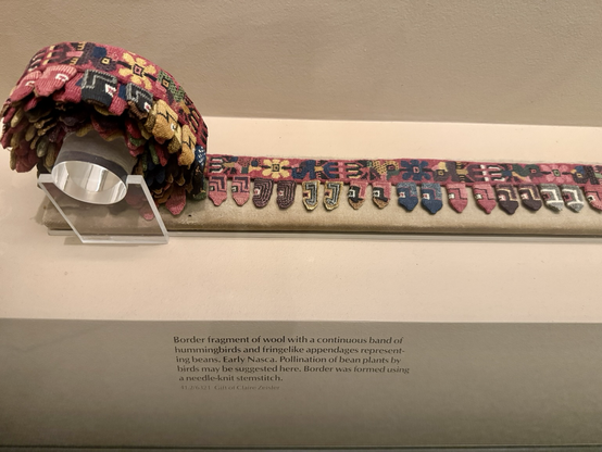 photo of the textile border fragment on display at museum, shown partially unrolled, with display label below: “Border fragment of wool with a continuous band of hummingbirds and fringelike appendages representing beans. Early Nasca. Pollination of bean plants by birds may be suggested here. Border was formed using a needle-knit stemstitch. 41.2/6321 Gift of Claire Zeisler”