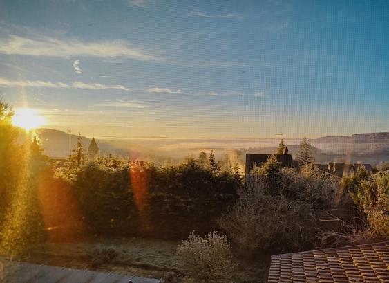 Premiers rayons du soleil dans le ciel bleu clair sur la campagne à la fin de l'hiver, au-dessus de la brume matinale et des arbres givrés