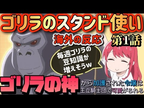アニメ「ゴリラの神から加護された令嬢は王立騎士団で可愛がられる」 第1話 【海外の反応 】 ゴリラのスタンド使い(笑) 毎週ゴリラの豆知識が増えそう(笑)