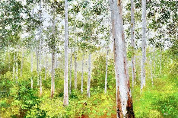 Painting of an Australian gum tree forest. It is an early spring morning and the sun shines through the stand of gum trees lighting the new grass and ferns beneath a bright lime green.