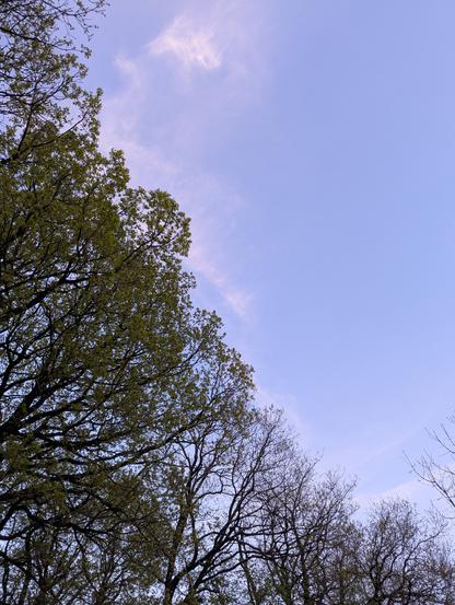 Une belle diagonale de ciel.