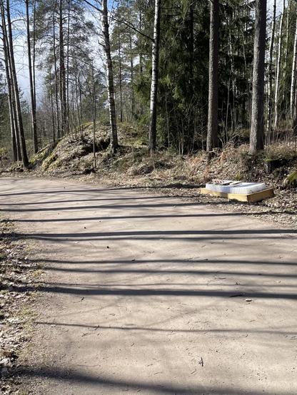 Muovipatja ja jousisto metsäpolun varrella.