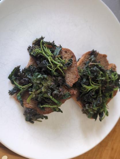 A white plate with two pieces of whole-wheat toast with sauteed nettles and purple dead nettles.

Ein weißer, zerkratzter Teller mit zwei Scheiben Vollkornbrot auf dem angebratene Brennesseln und purpur Taubnesseln liegen.
