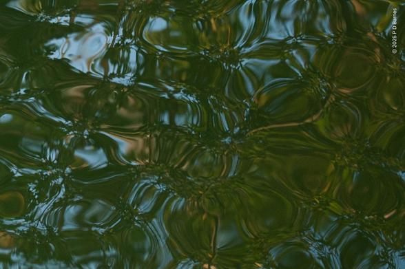 A glassy, fluid composition of dark greens and occasional light blue; sky and tree reflections in Gunlom waterfall creek.