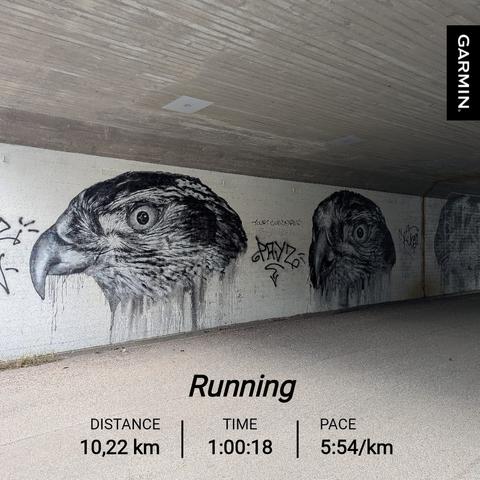 Tunneli, jonka seinään on maalattu upeita kanahaukan muotokuvia. Juoksutilastot: matka 10,22 km, kesto 1:00:18, tahti 5:54 min/km.