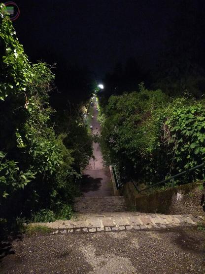 Fußweg bei Nacht, der als Stiege hinab führt und von hineinragender Vegetation begleitet wird