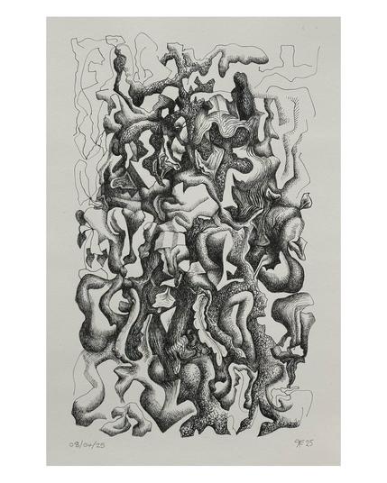 Drawing on paper in black ink depicting organic biomorphic forms. drawn by artist Robert Fitzmaurice