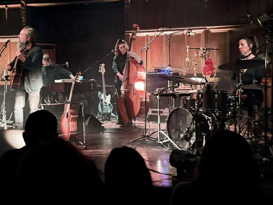 Iron and Wine band on stage